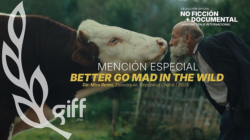 Better Go Mad in the Wild - Guanajuato special mentiont of the jury