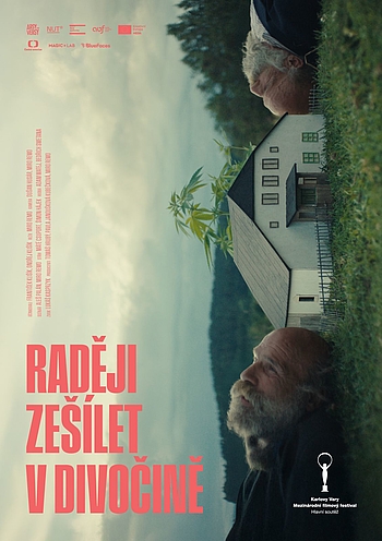 Raději zešílet v divočině - poster